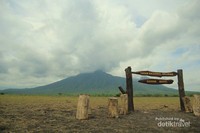 Taman Nasional baluran Taman Nasional baluran