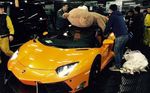 Boneka Teddy Bear Raksasa Tidur di Lamborghini Aventador