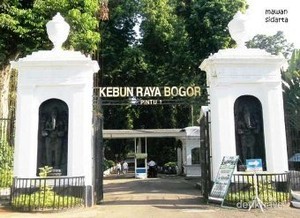 4 Pengunjung Tewas dan 21 Terluka Tertimpa Pohon Tumbang di Kebun Raya Bogor