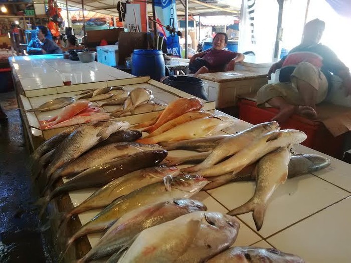 Cuaca Buruk Harga Ikan Di Jakarta Mulai Merangkak Naik