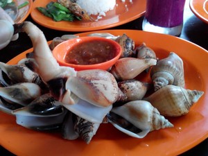 Gonggong, Makanan Penambah Gairah Seksual dari Tanjungpinang