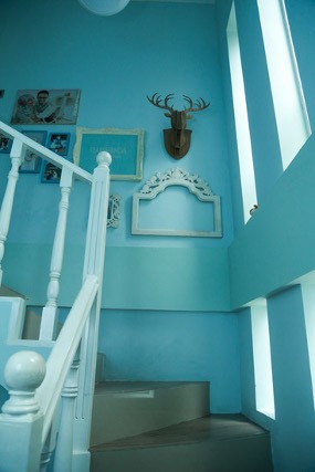 Kepala Rusa Jadi Hiasan Terunik di Rumah Ria Miranda