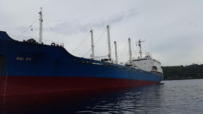 66 Ton Hiu Langka Ditemukan di Kapal Maling Ikan Terbesar Dalam Sejarah RI