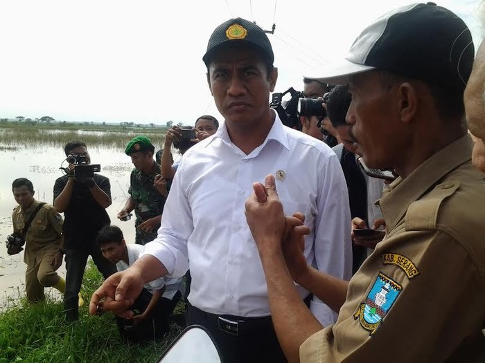 Jokowi Bidik Swasembada Pangan, Ini Aksi Menteri Pertanian