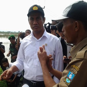 Jokowi Bidik Swasembada Pangan, Ini Aksi Menteri Pertanian