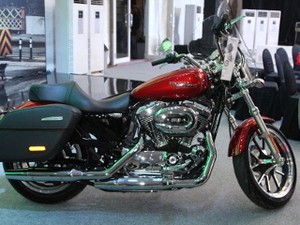 Penunggang Harley Ugal-ugalan, Harley: Mohon Pengertiannya