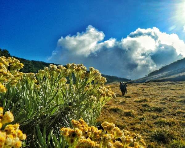 5 Gunung yang Cocok Untuk Dijelajahi Anak Muda