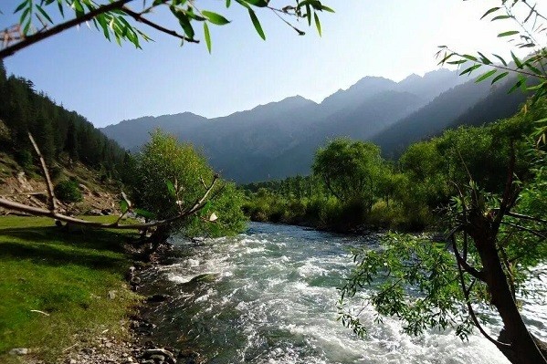 Siapa Sangka, Afghanistan Punya Banyak Harta Karun