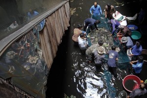 Terbengkalai, Mal Besar di Bangkok Malah Jadi Kolam Ikan!