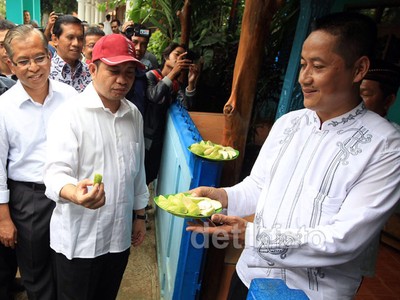 Marwan Jafar Panen Jambu Kristal