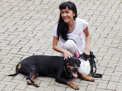 Anjing Rottweiler Manja-manjaan dengan Jupe