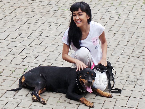 Anjing Rottweiler Manja-manjaan dengan Jupe