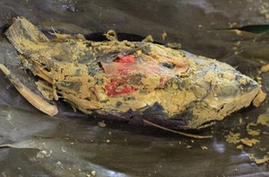 Warung Nasi Ceu Emi: Wah, Sedapnya Pepes Ikan Mas Duri Lunak Berbumbu Kuning!