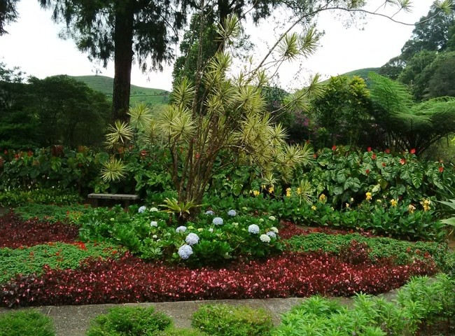 Melrimba Garden dan 3 Kebun Bunga yang Instagram Banget