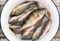 Ini 4 Langkah Bikin Ikan Goreng Garing dan Renyah
