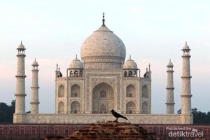 Warga Suka Bakar Tahi Sapi, Dinding Taj Mahal Jadi Agak Kuning