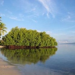 Raja Ampat Terpilih Sebagai The Best Destination
