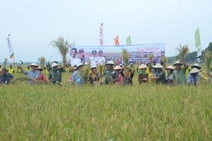 Panen Raya di Bojonegoro, KSAD: Kami Siap Bantu Capai Swasembada Pangan