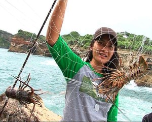 Jual Bibit Lobster, Nelayan di Lombok Bisa Kantongi Rp 8 Juta/Bulan