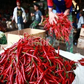 BBM Turun, Harga Cabai Anjlok Sampai 75%