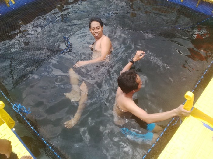 Berenang Bareng Hiu di Selat Bali, Berani?