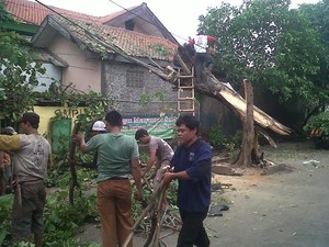 Bruk! Atap SMP 20 Jakarta Timur Roboh Tertimpa Pohon