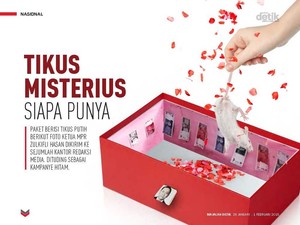 Tikus Misterius Siapa Punya