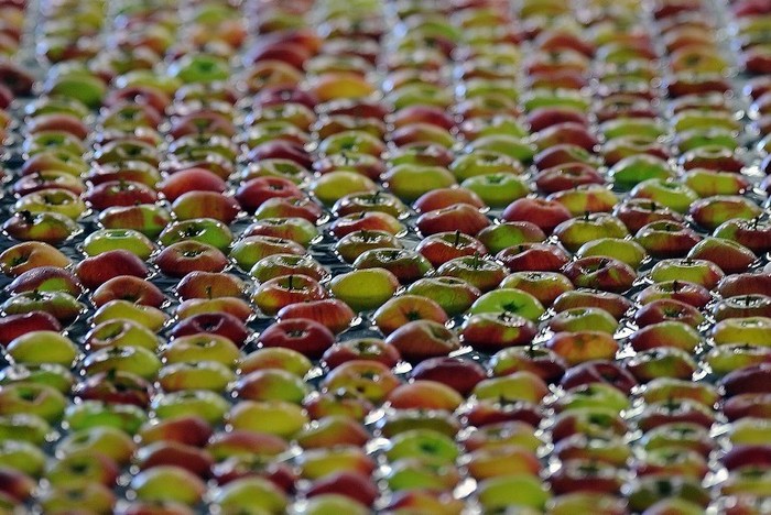 Kasus Apel Berbakteri, 30% Apel Impor yang Masuk Indonesia dari AS