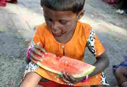 Ilmuwan Kembangkan Alternatif Makanan Pengganti untuk Atasi Malnutrisi