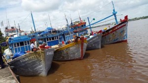 Menteri Susi Tangkap Lagi 14 Kapal Pencuri Ikan