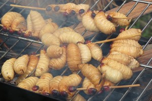 Wisata Kuliner Ekstrem, Berani Makan?