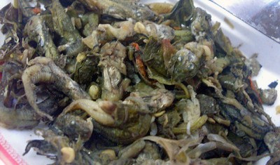 Gorengan Kalajengking & 4 Makanan Aneh dari Thailand