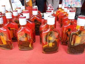 Minuman Ekstrem dari Laos: Whiskey Kobra