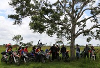 Kehadiran Musamus ternyata cukup langka di dunia dan Merauke beruntung memiliki fenomena alam yang menakjubkan dari dunia serangga. Musamus inilah yang kemudian menjadi objek singgah tim VIAR Jelajah Indonesia saat berada di Papua. Mengagumi Musamus sekaligus berkendara di beberapa wilayah taman nasional Wasur yang secara keseluruhan memiiki luas wilayah hingga lebih dari 400,000 hektar. Istimewa/Viar.