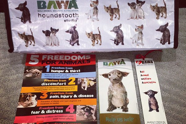 Paris Hilton Ajak Turis Selamatkan Hewan Terlantar di Bali