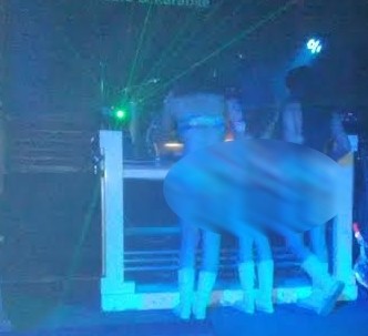 6 Penari Striptis dan 8 Pria Hidung Belang Terjaring Razia di Probolinggo