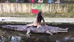 Hiiii... Raline Shah Berpose di Atas Buaya
