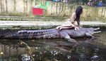 Hiiii... Raline Shah Berpose di Atas Buaya