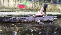 Oops kebangun dia! Snap #oldcroc #siantarzoo #adventuretime, tulis Raline di keterangan foto.