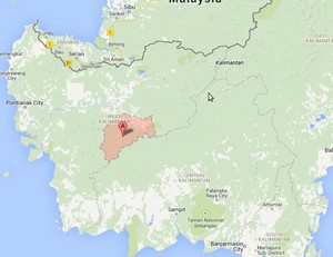 Ratusan Warga Terjangkit Rabies, 2 Kabupaten di Kalbar Diisolasi