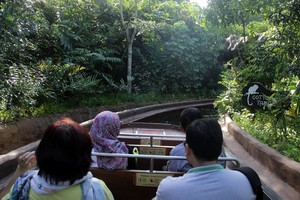 Menyusuri Amazon Ala Singapura di River Safari