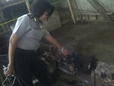 Polisi Buru Importir Australia Pemasok Kulit Sapi Busuk di Bandung