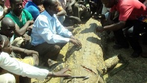 Pria di Uganda ini Bunuh Buaya Pemangsa Istrinya