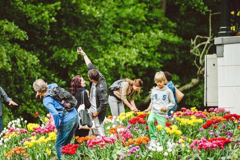 Tulip Island di Vondelpark, Amsterdam (tulip-island.com) Tulip Island di Vondelpark, Amsterdam (tulip-island.com)
