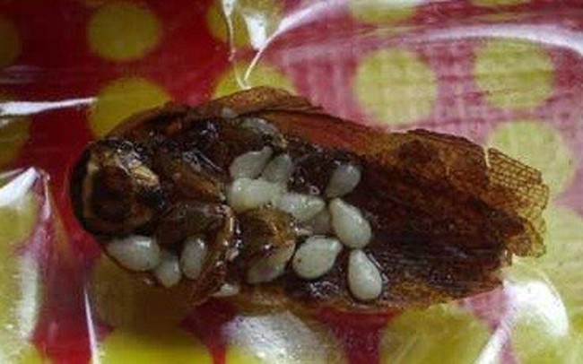 Hiii, Ada Kondom, Kelabang dan Tikus yang Menyusup Dalam Makanan Ini (2)