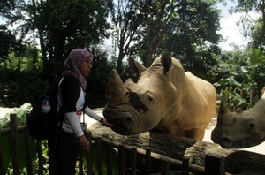 Bukan Satu, Ini Empat Kebun Binatang Keren di Singapura