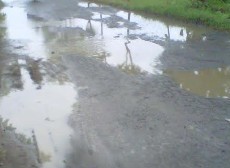 Jalan Desa Serang Pemalang Tak Berbentuk Jalan