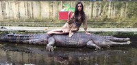 Raline Shah berpose di atas seekor buaya besar di Taman Hewan Pematang Siantar atau sebelumnya dikenal dengan Kebun Binatang Siantar. (Instagram/Raline Shah)