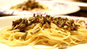 Ajak Orang Konsumsi Serangga, Mahasiswa Ini Lakukan 30 Days of Bugs