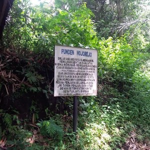 Punden Mojorejo ini Diduga Kuat Lokasi Awal Prasasti Sangguran